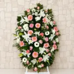Palma funeraria Imón